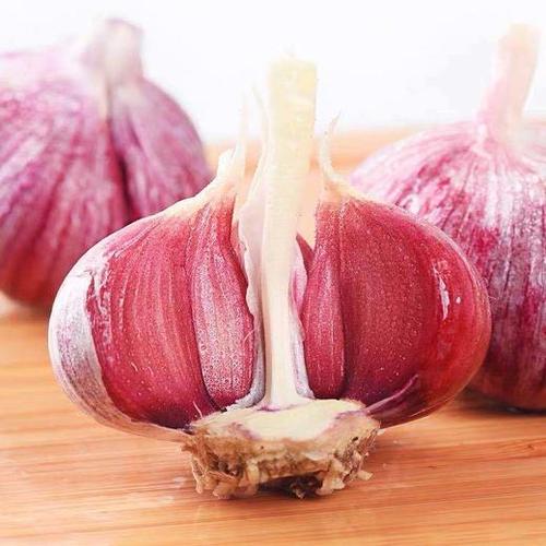 山西迎泽太原紫皮大蒜