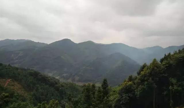 蒙山采药迷路 警民联手搜救