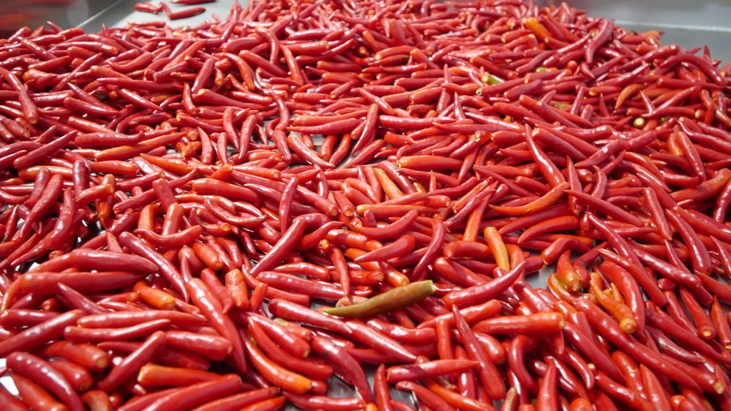 临沂风味宝藏！沂蒙苗阿妹辣椒酱